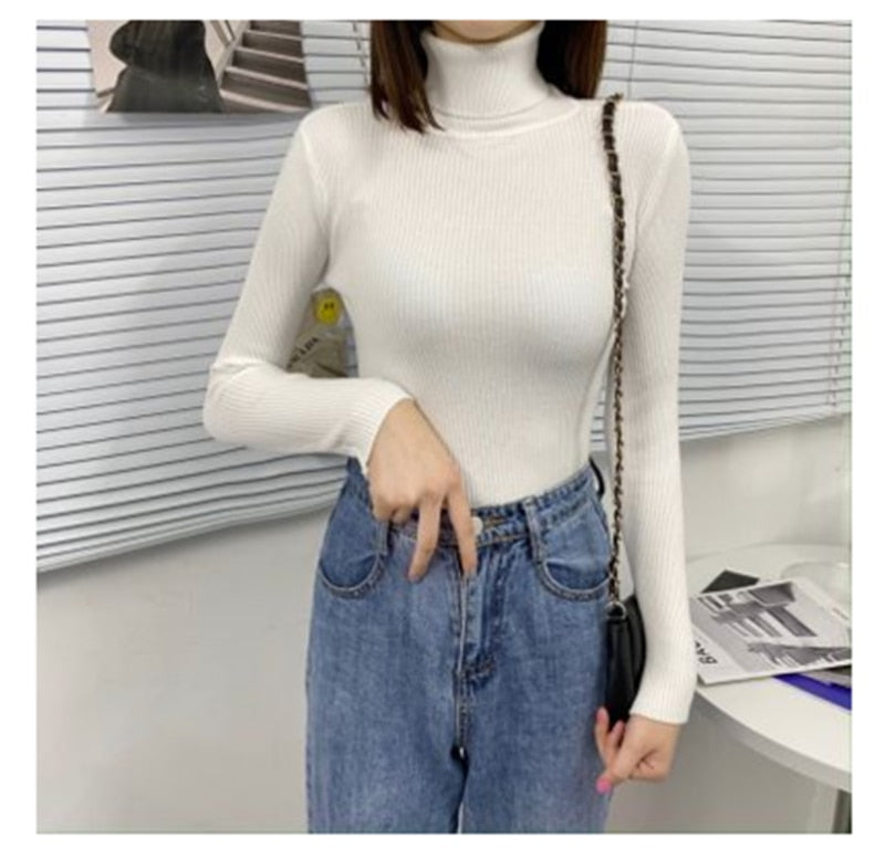 SOFTEST Turtleneck Sweaters (16 colors)