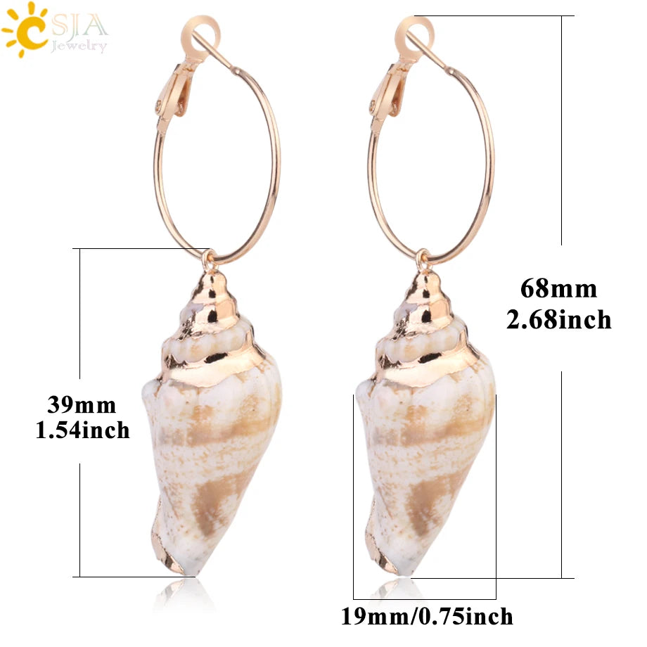 Classical Conch Sea Shell Earrings