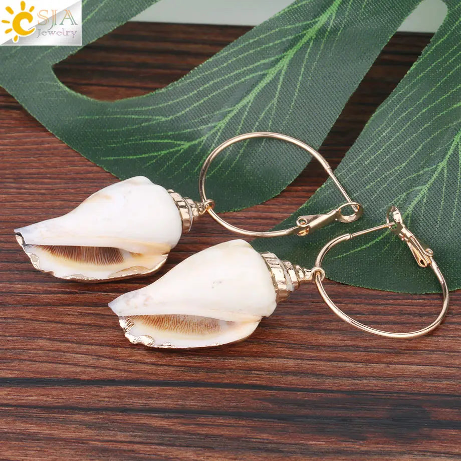 Classical Conch Sea Shell Earrings