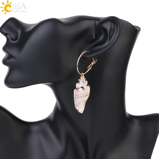 Classical Conch Sea Shell Earrings