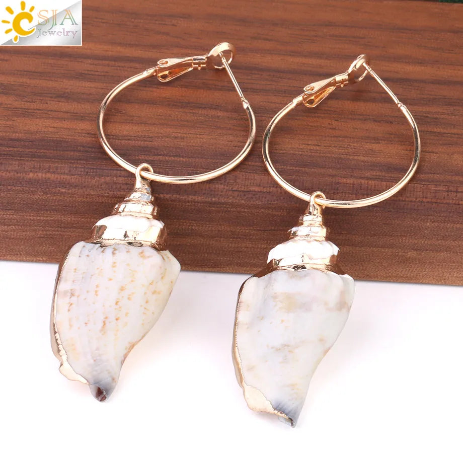 Classical Conch Sea Shell Earrings