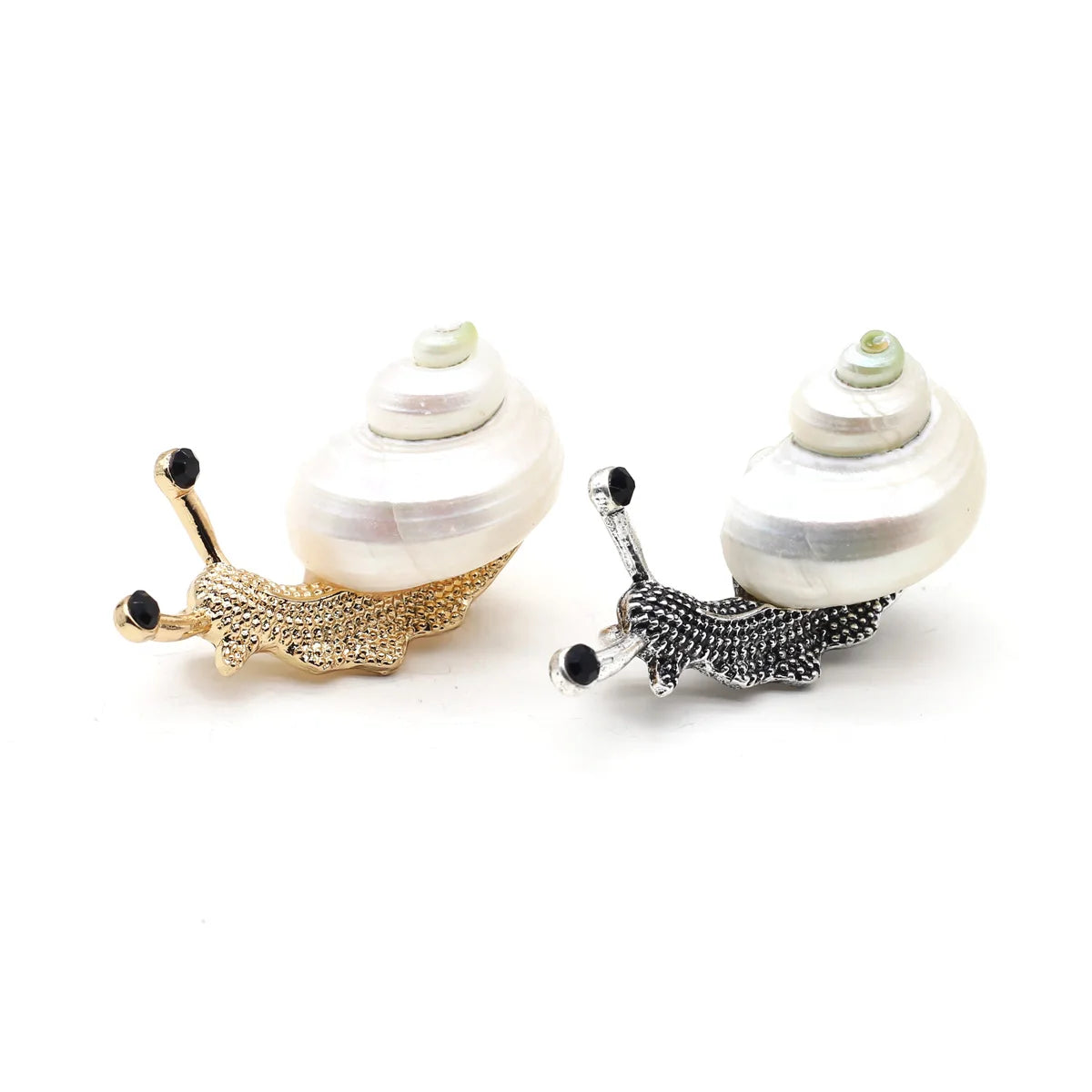 Natural Shell Snail Brooch