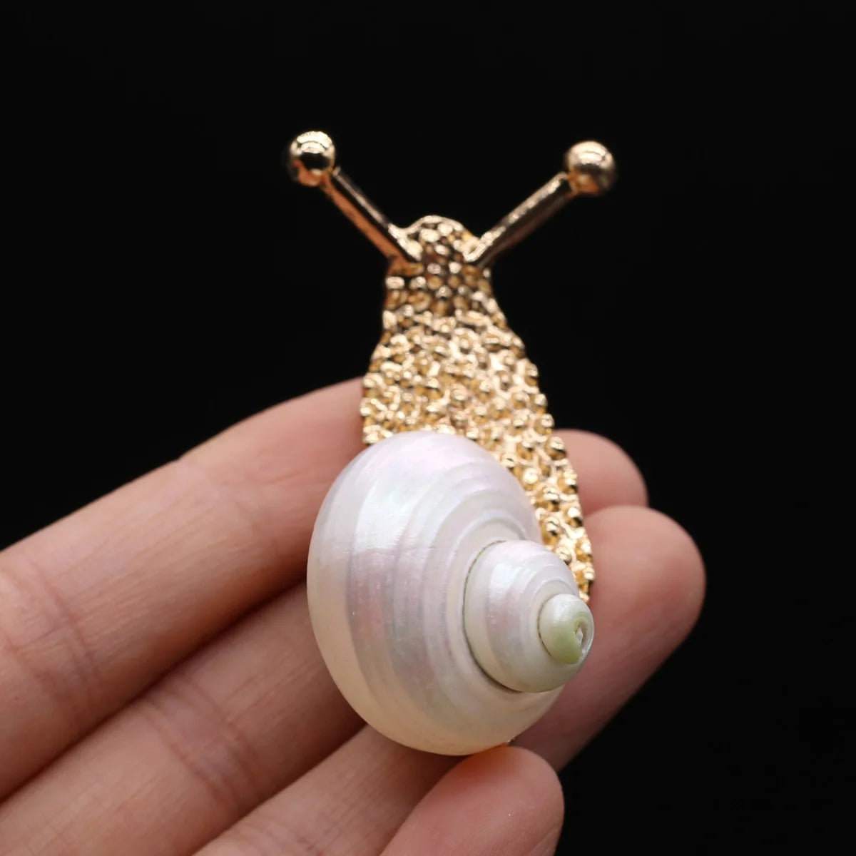 Natural Shell Snail Brooch