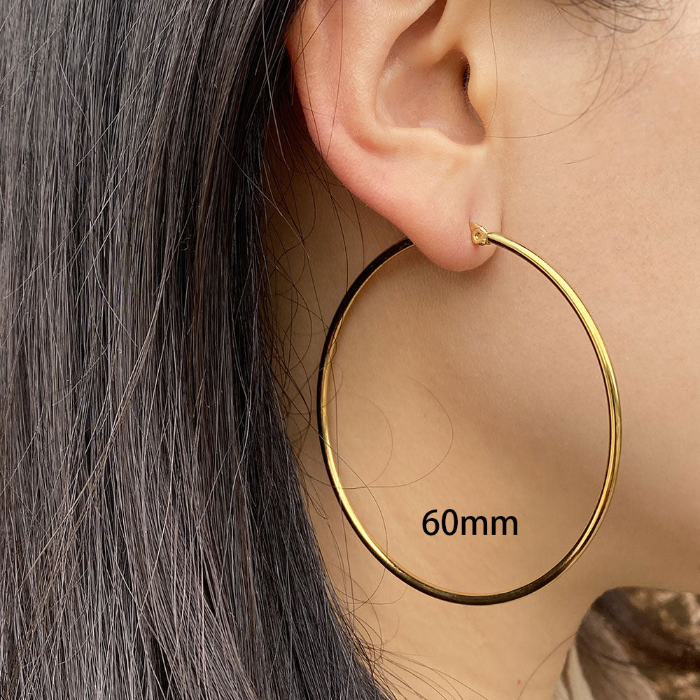 Stainless Steel Hoop Earrings Gold/Silver