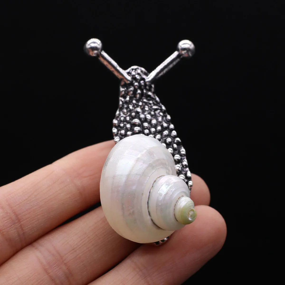 Natural Shell Snail Brooch