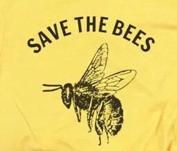 Save The Bees Shirt (8 colors)