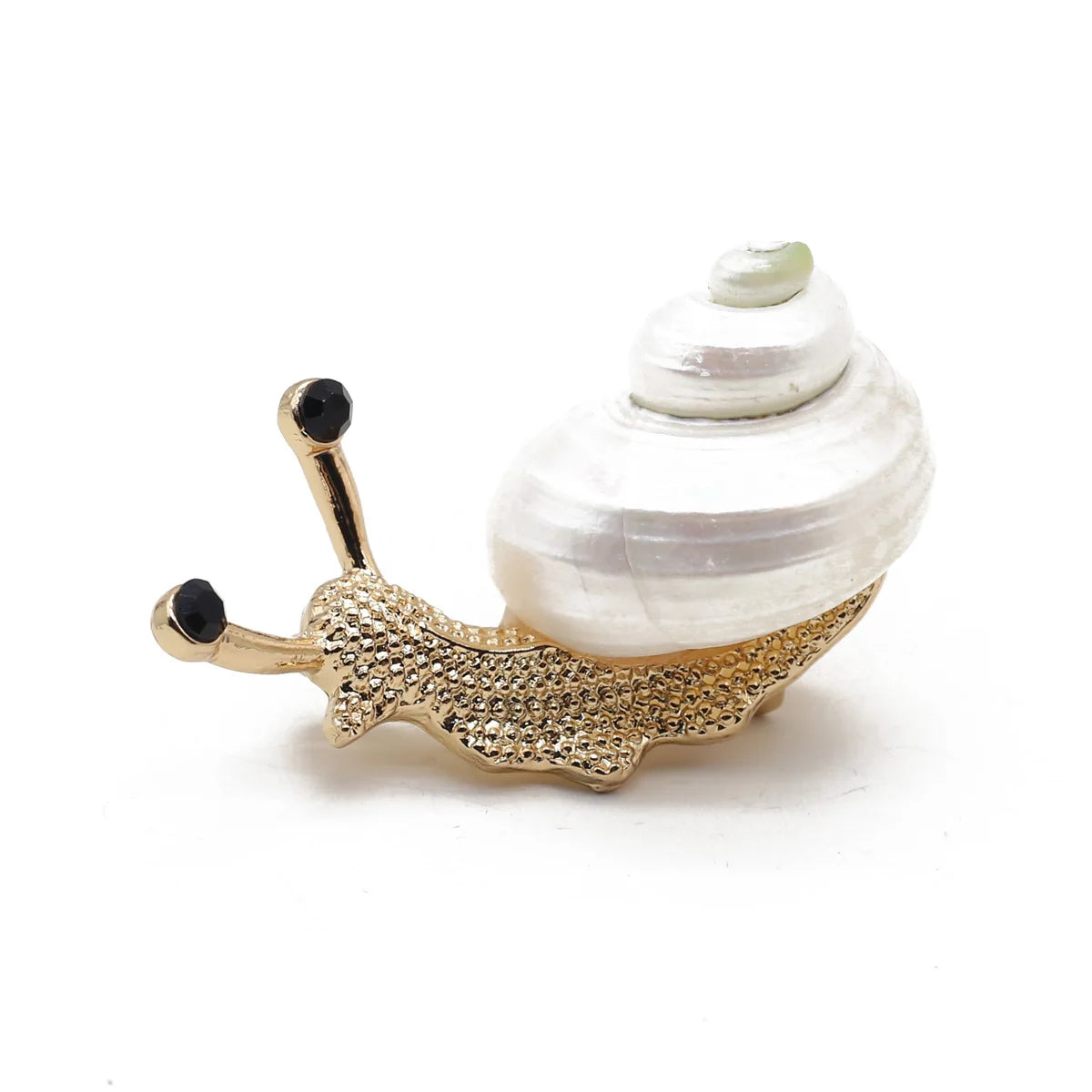 Natural Shell Snail Brooch